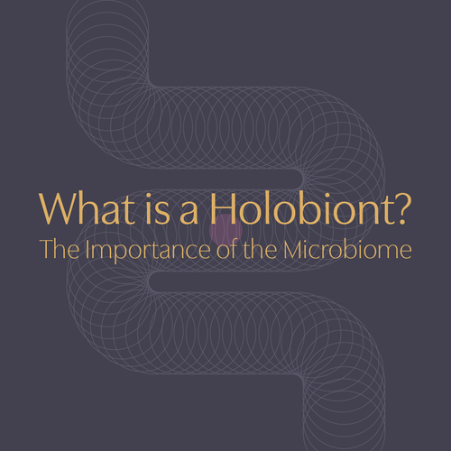 An Introduction to the Human Microbiome