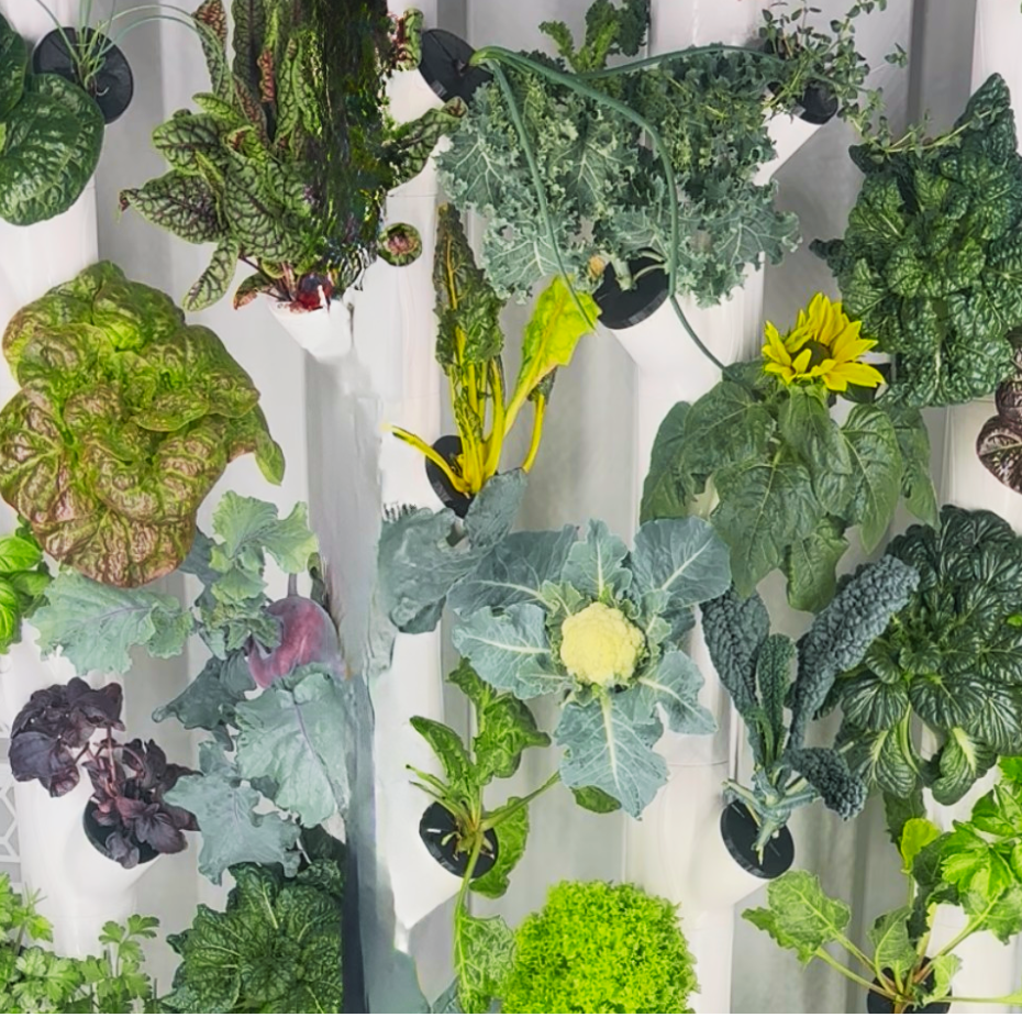 Not-Pesto: Five Minutes, a Blender, and Whatever You've Got